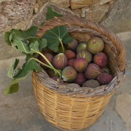 Bella Terra אספרובלטה